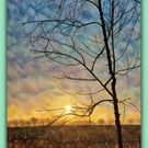 Early Morning Lonely Tree Winter Sun Norfolk Nordelph Greeting Card A5