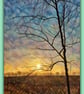 Early Morning Lonely Tree Winter Sun Norfolk Nordelph Greeting Card A5