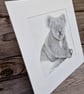 Koala (2021) - Image 3