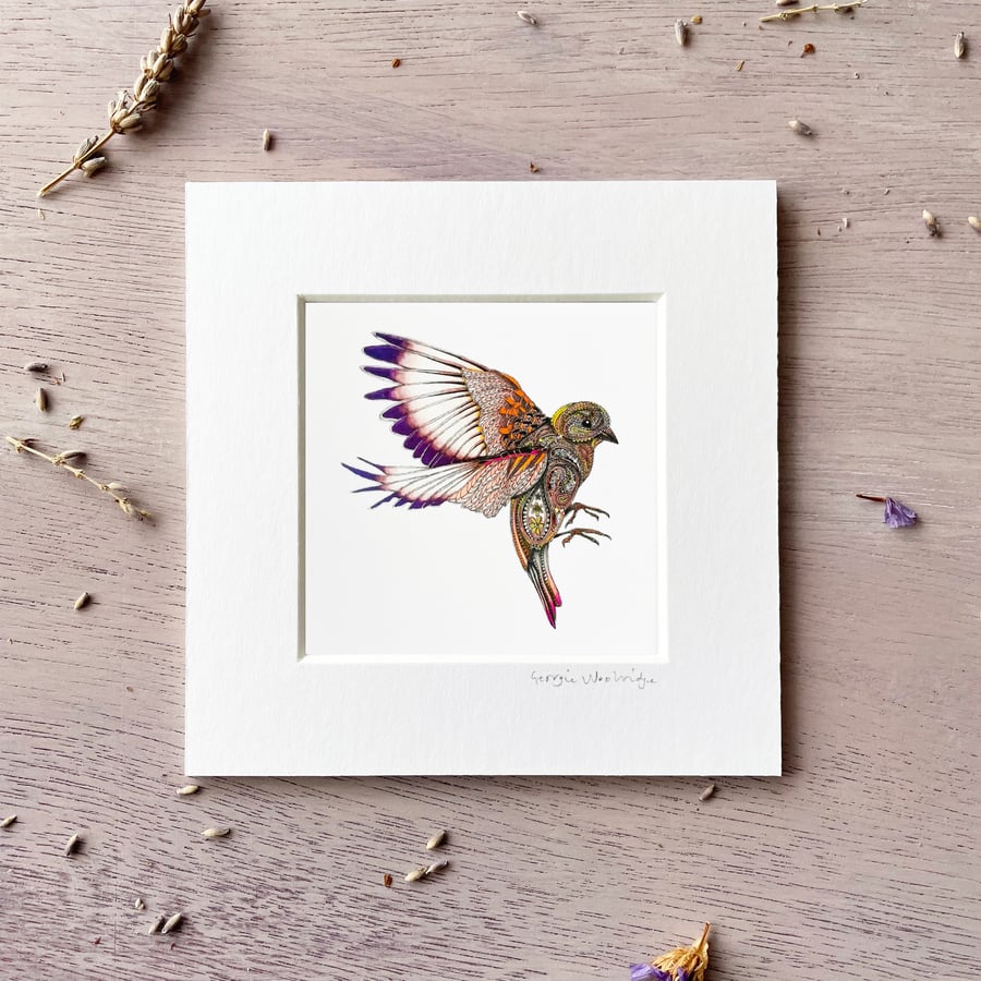 'Goldfinch' 5" x 5" Mounted Print