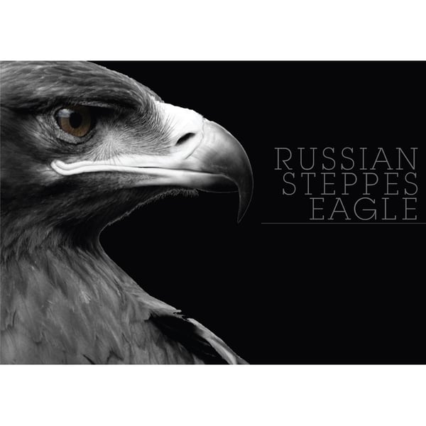 RUSSSIAN STEPPES EAGLE BLACK & WHITE POSTERS