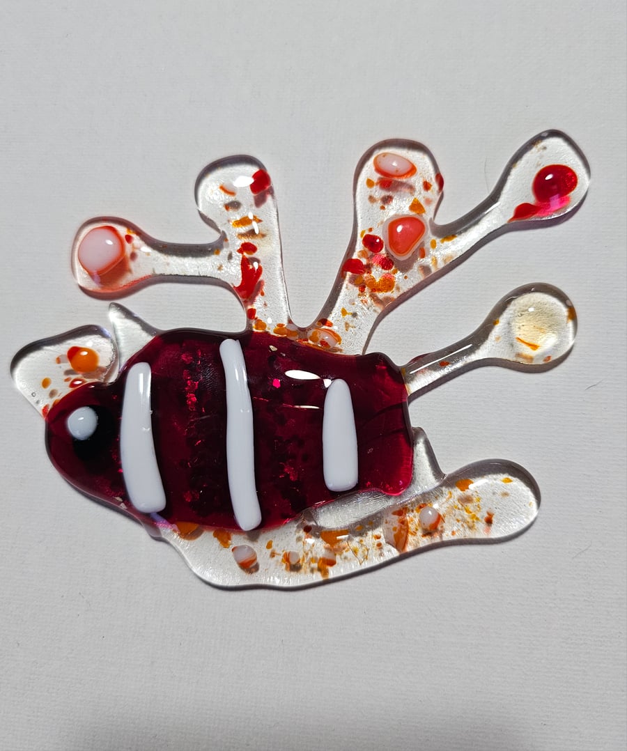 Fused Glass tropical fish in coral - handmade home decor gift
