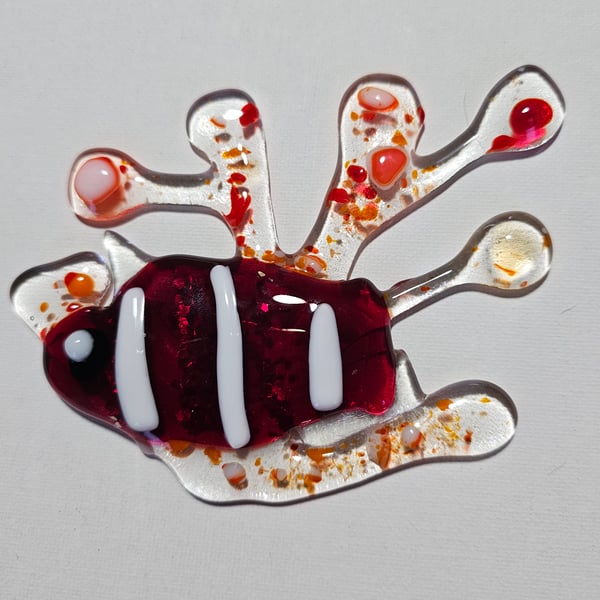 Fused Glass tropical fish in coral - handmade home decor gift