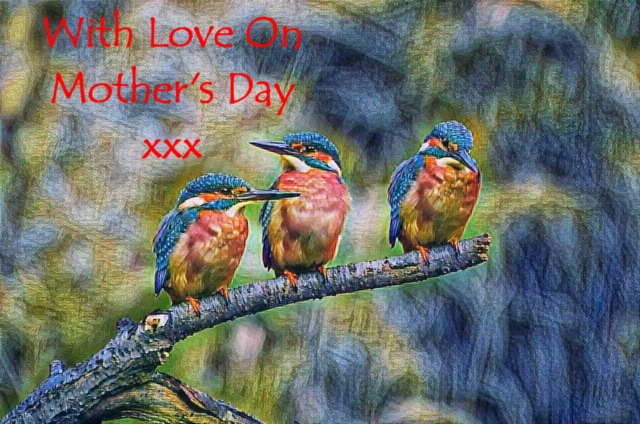 Mother's Day Card Kingfishers 