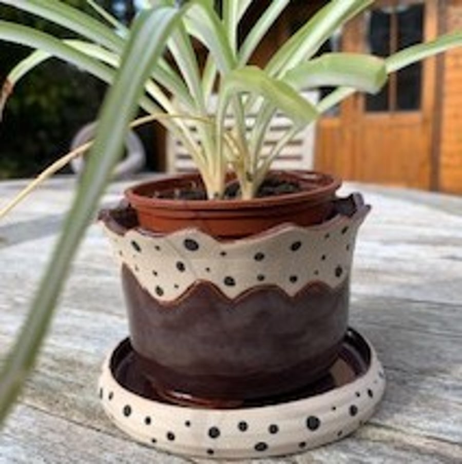 Plant pot and matching saucer