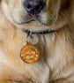 Call My Mum - Menty B Personalised Dog ID Collar Tag: Funny Custom Pet Safety 