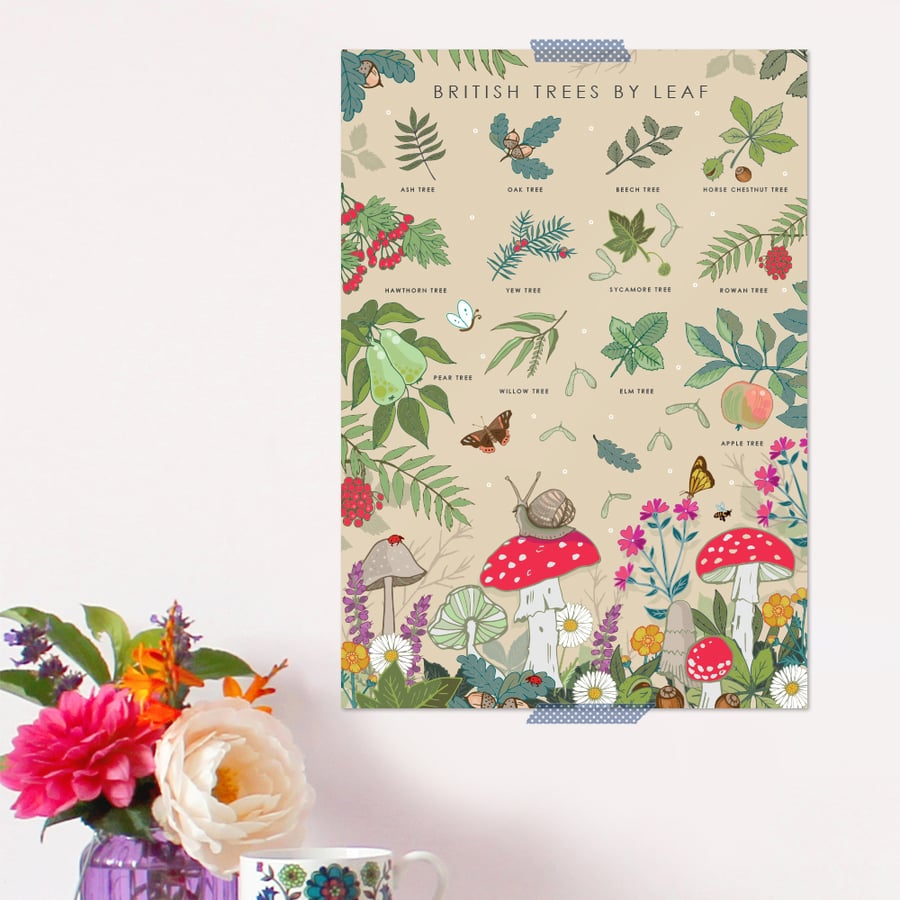 British Trees By Leaf Poster - Field Guide Poster - A3 sized