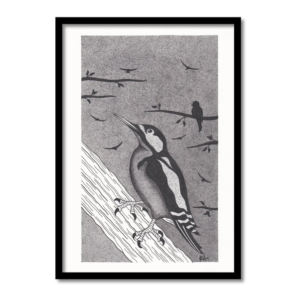 Woodpecker Original Art Pen And Ink Drawing