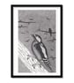 Woodpecker Original Art Pen And Ink Drawing