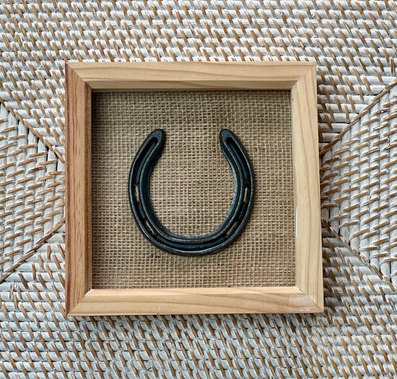 Framed Real Horseshoe Good Luck Rustic Decoration