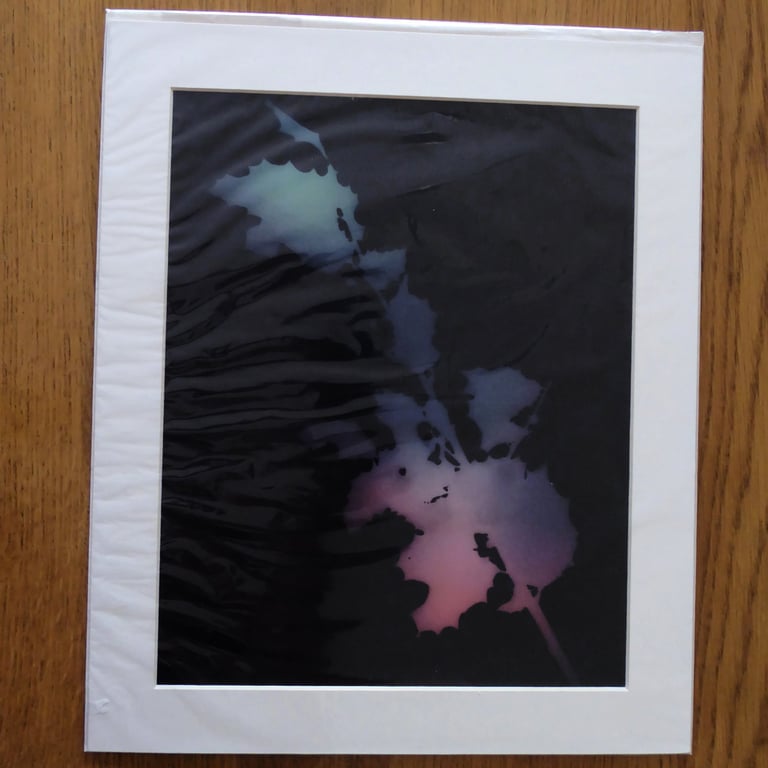 Holly II Print from Original Photogram - Ivory mount to fit 10x12 inch frame 