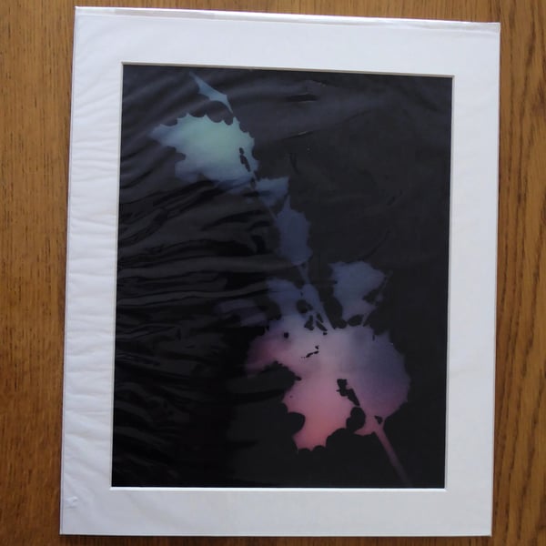 Holly II Print from Original Photogram - Ivory mount to fit 10x12 inch frame 