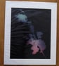 Holly II Print from Original Photogram - Ivory mount to fit 10x12 inch frame 