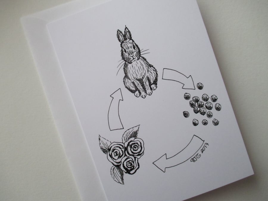 Bunny Rabbit Black & White Monochrome Blank Greetings Card Illustration
