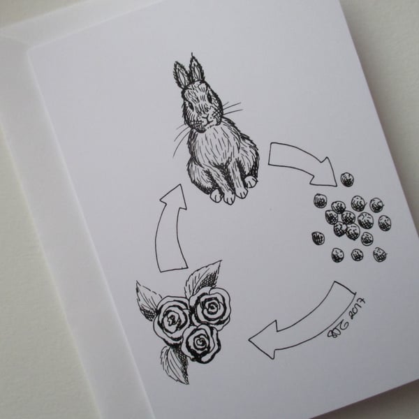 Bunny Rabbit Black & White Monochrome Blank Greetings Card Illustration