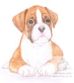 Jake the Boxer - Blank Card - Image 1