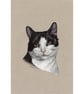 Black and White Cat - Fine Art Print - Image 3