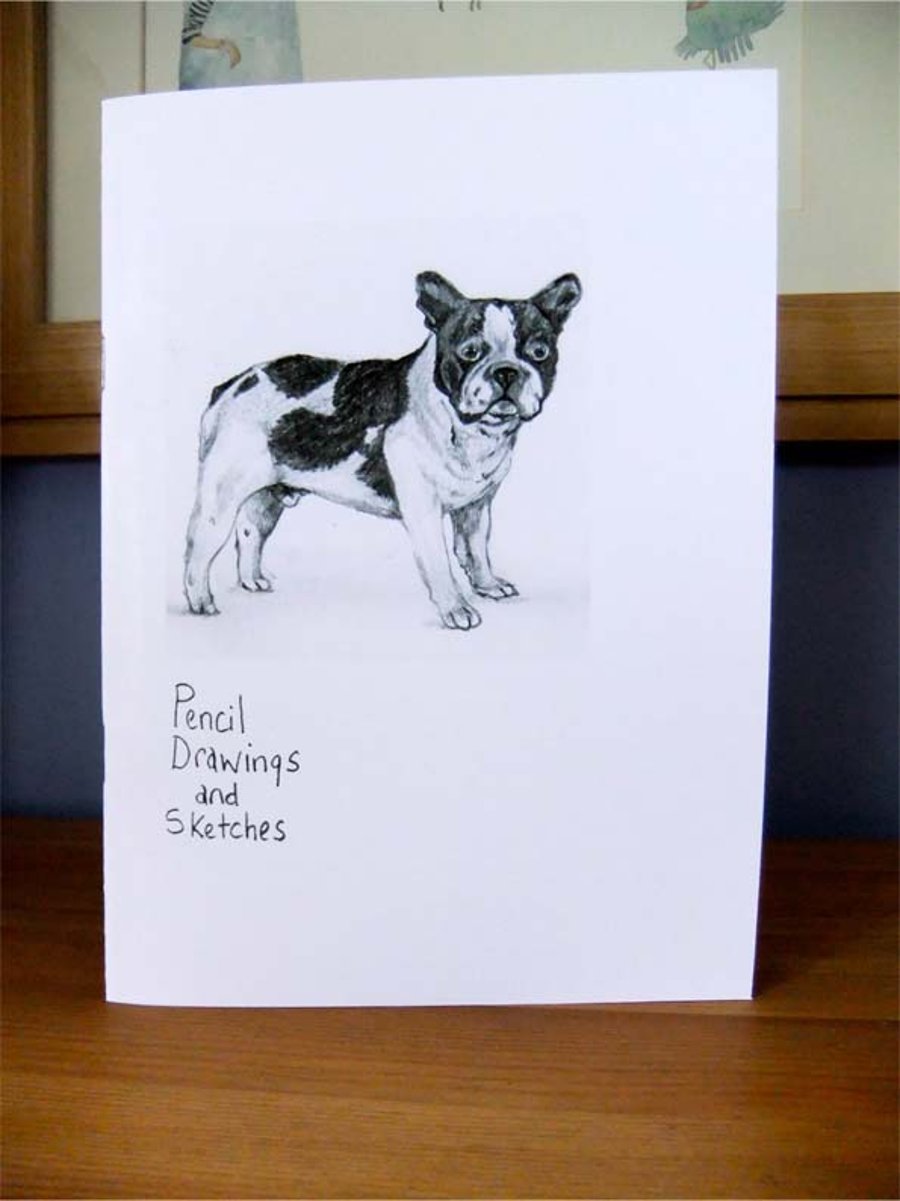 Art Zine Pencil Drawings and Sketches