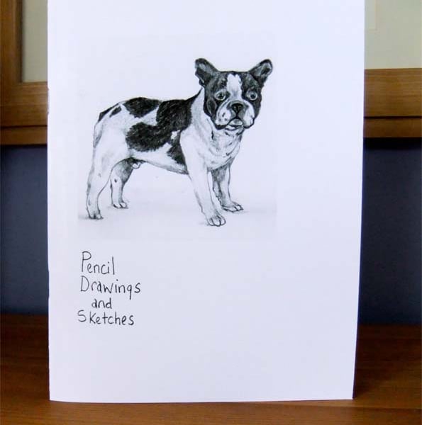 Art Zine Pencil Drawings and Sketches