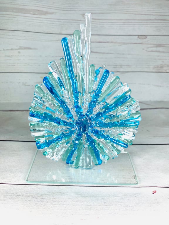 Ammonite in sea coloured fused glass 