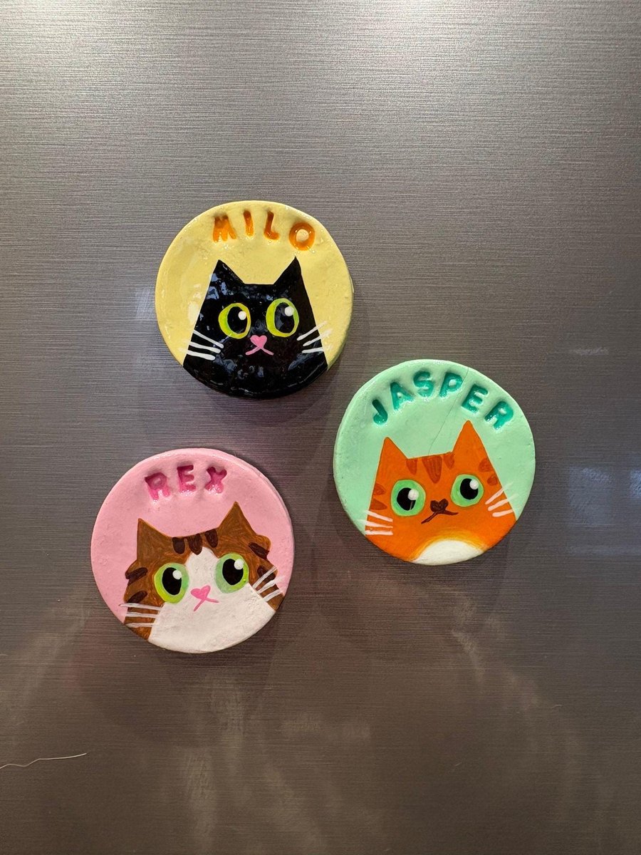 Handmade Customised Bespoke Pet Cat Fridge Magnet