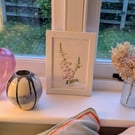 Pink foxglove, framed original watercolour painting 