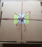 Small Dragonfly  - Image 6