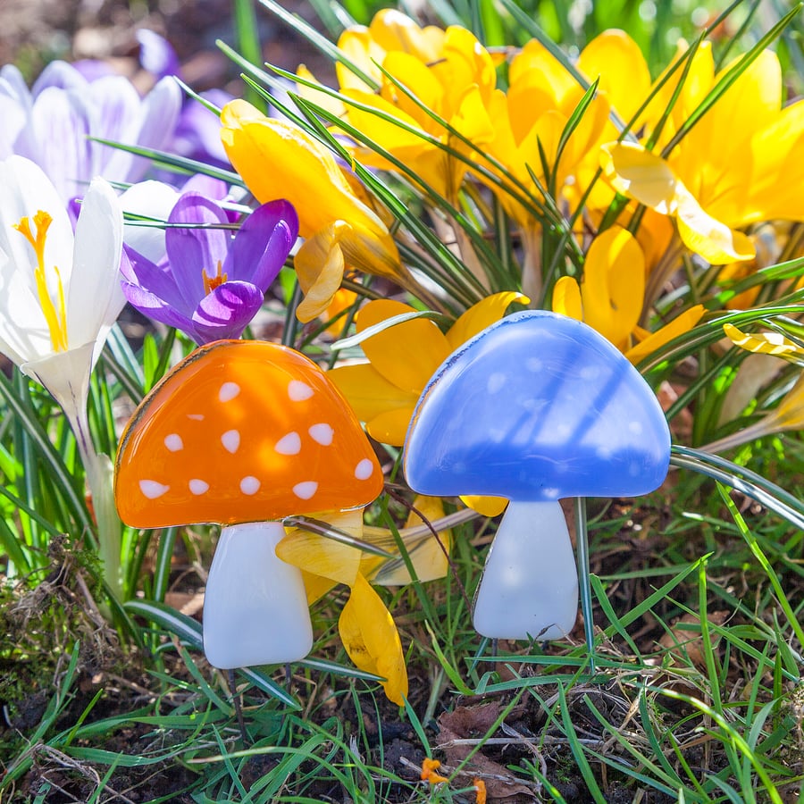 Colourful Toadstool Mushroom Fused Glass Plant Pot Decorations