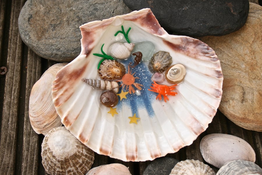 Miniature rock pool, nature lover gift, sea lover gift, resin, miniature animal