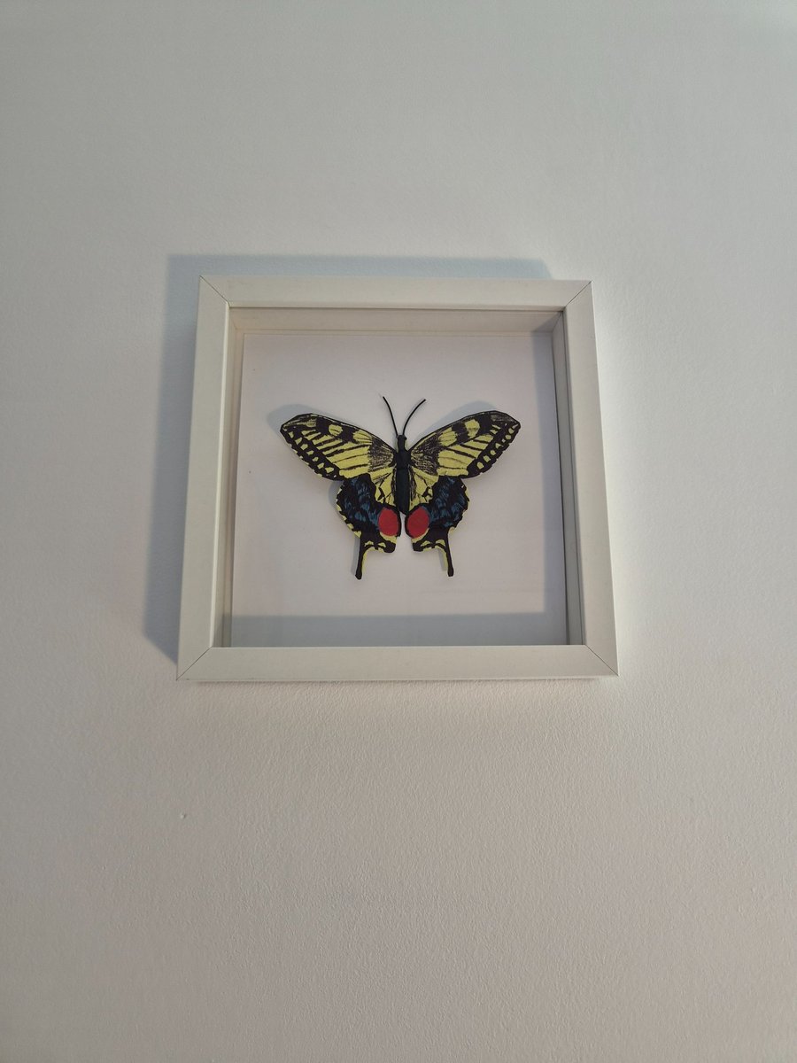 Original Papercraft Specimen-style - Swallowtail Butterfly