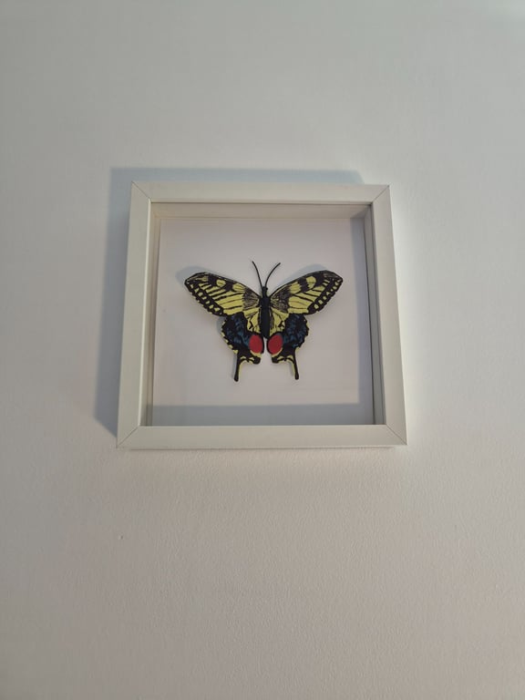 Original Papercraft Specimen-style - Swallowtail Butterfly