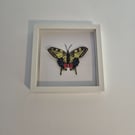 Original Papercraft Specimen-style - Swallowtail Butterfly