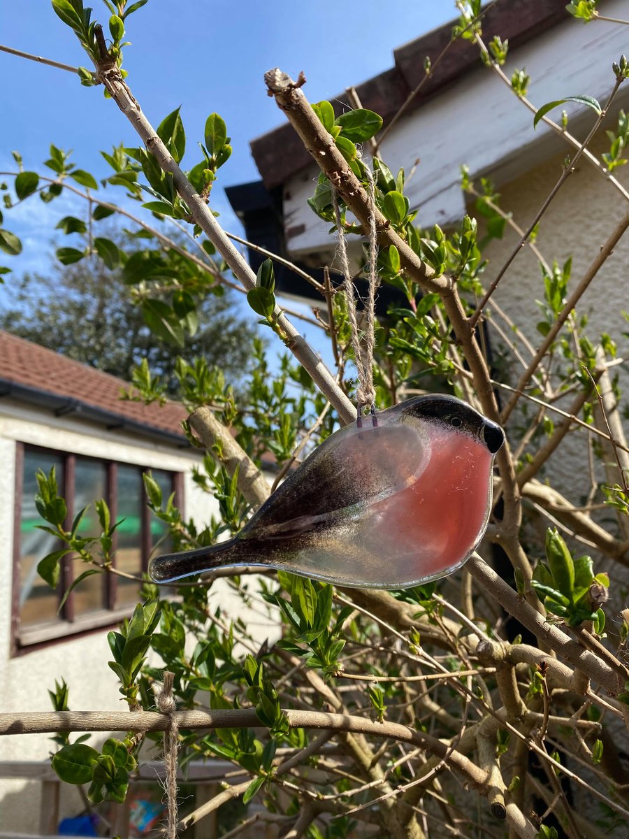 Fused Glass Birds, BULLFINCH bird lover gift, British bird, hanging bird