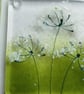Cowparsley coasters, fused glass set of two coasters, gift for the home, wildflo - Image 6