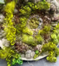 Moss Hand Woven Circular Wall Hanging - Image 3