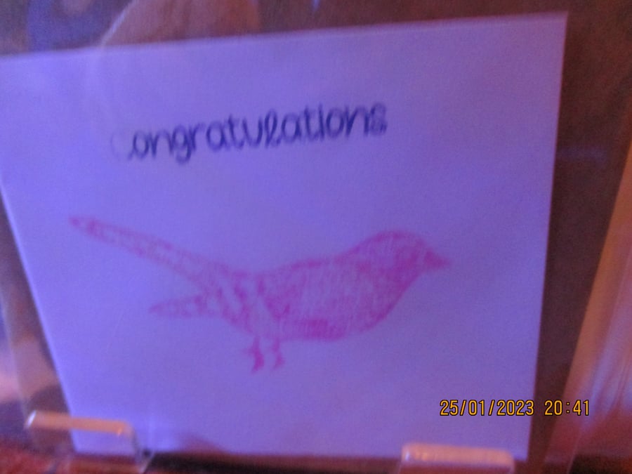 Congratulations Bird Small Card