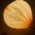 Paper table lamp - pod light