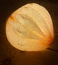 Paper table lamp - pod light