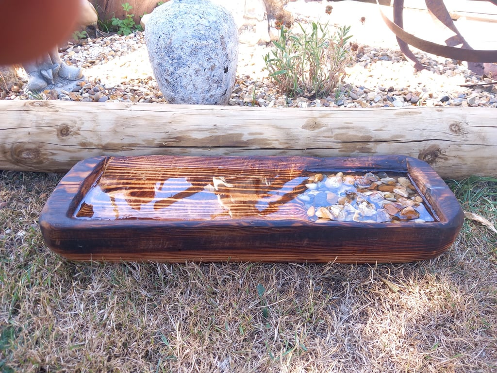 Bird Spa