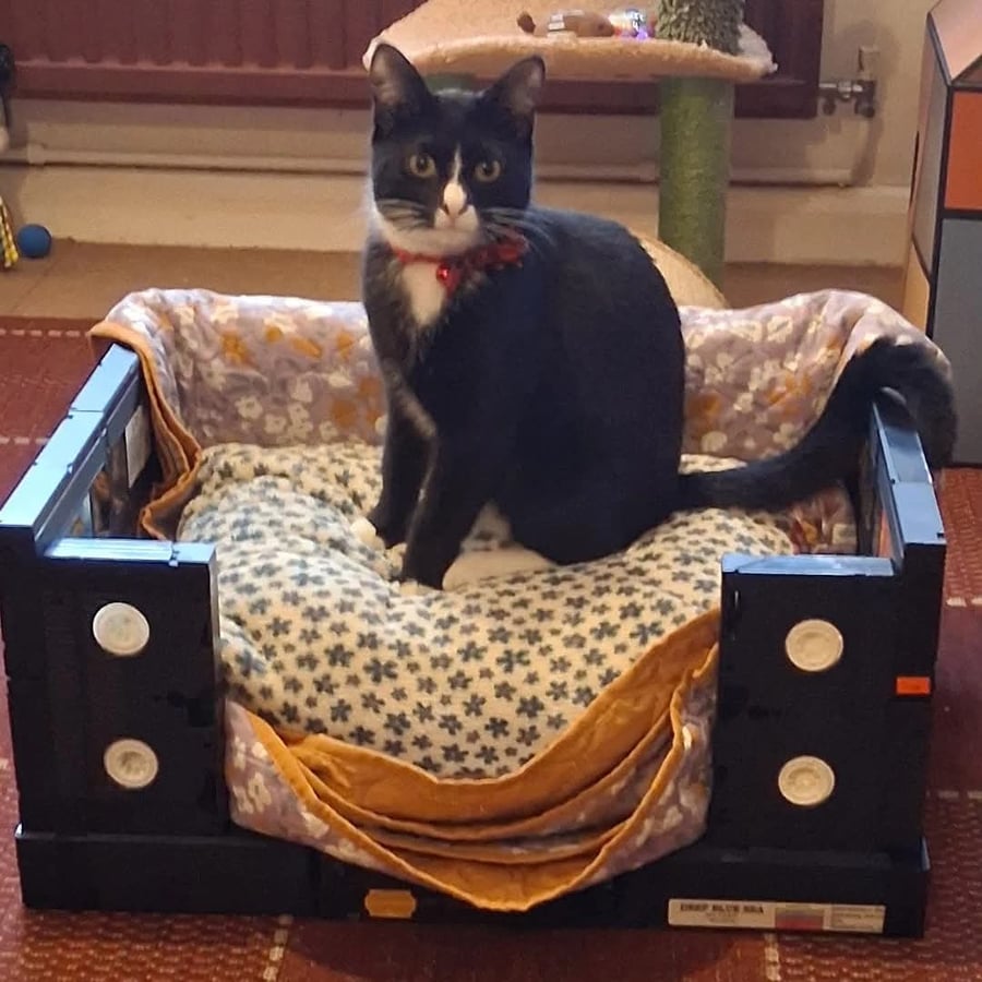 Upcycled VHS cat bed