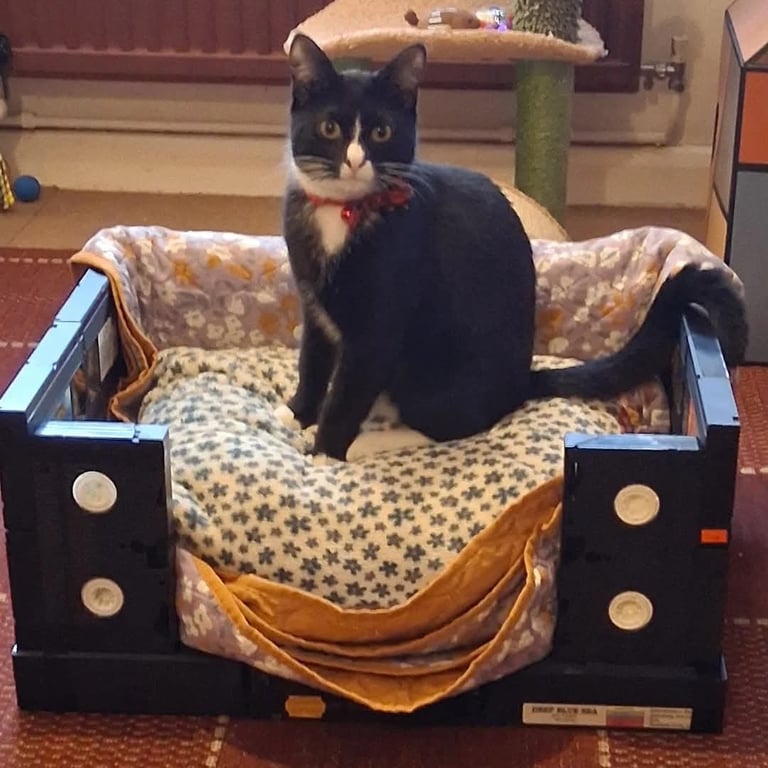 Upcycled VHS cat bed