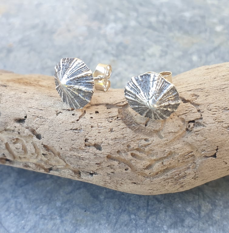 Silver limpet earrings - studs