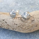 Silver limpet earrings - studs