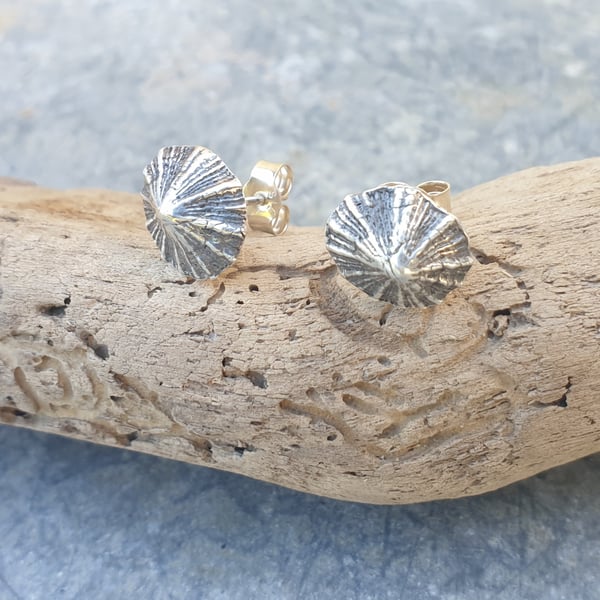 Silver limpet earrings - studs