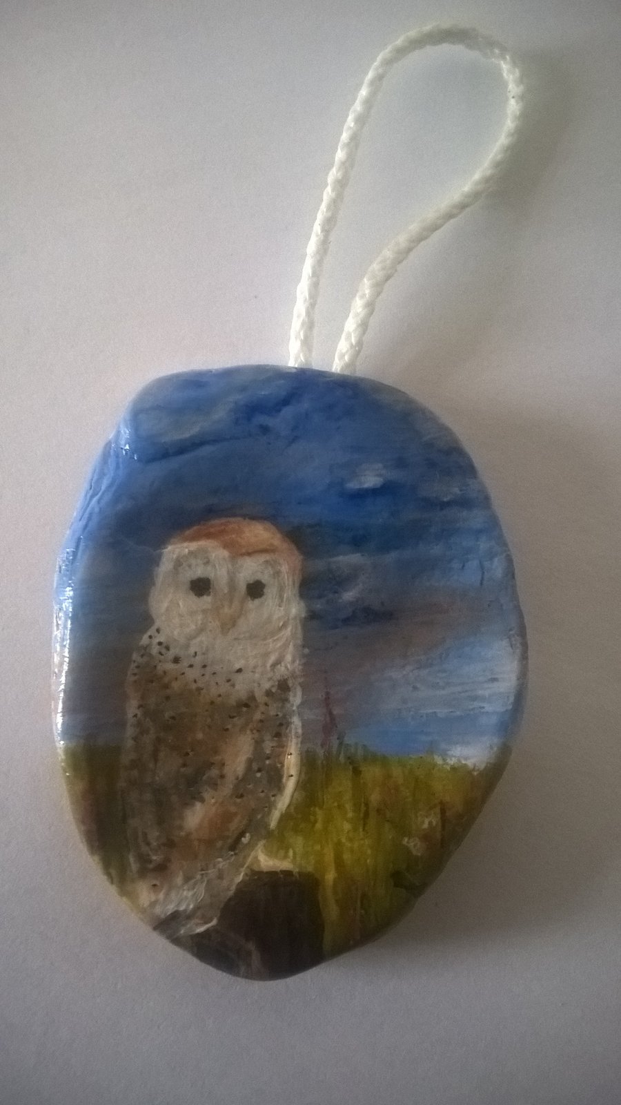 barn owl painted shell
