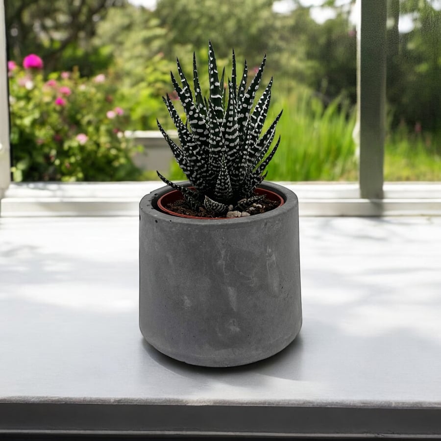 Handmade Small Grey Concrete Plant Pot - Minimalist Mini Succulent Pot spp4