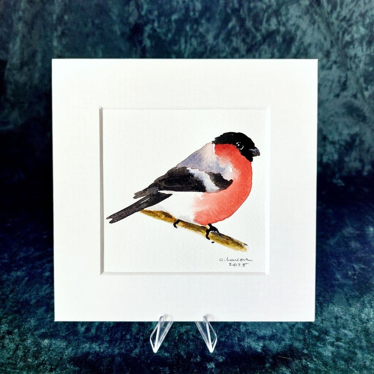 Bullfinch - Original Watercolour Painting