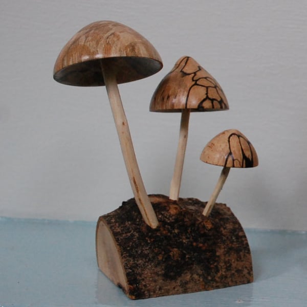 Perfectly Imperfect-Fungi Sculpture on Homegrown Grown Ash
