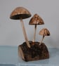 Perfectly Imperfect-Fungi Sculpture on Homegrown Grown Ash