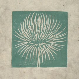 Thistle seed head mini linocut print